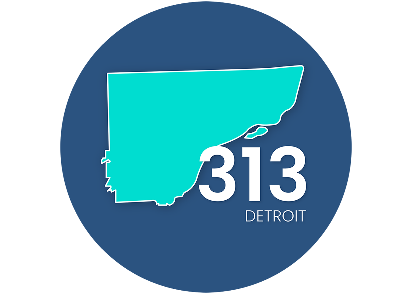 what-area-code-is-313-get-a-313-phone-number-in-detroit-ringover