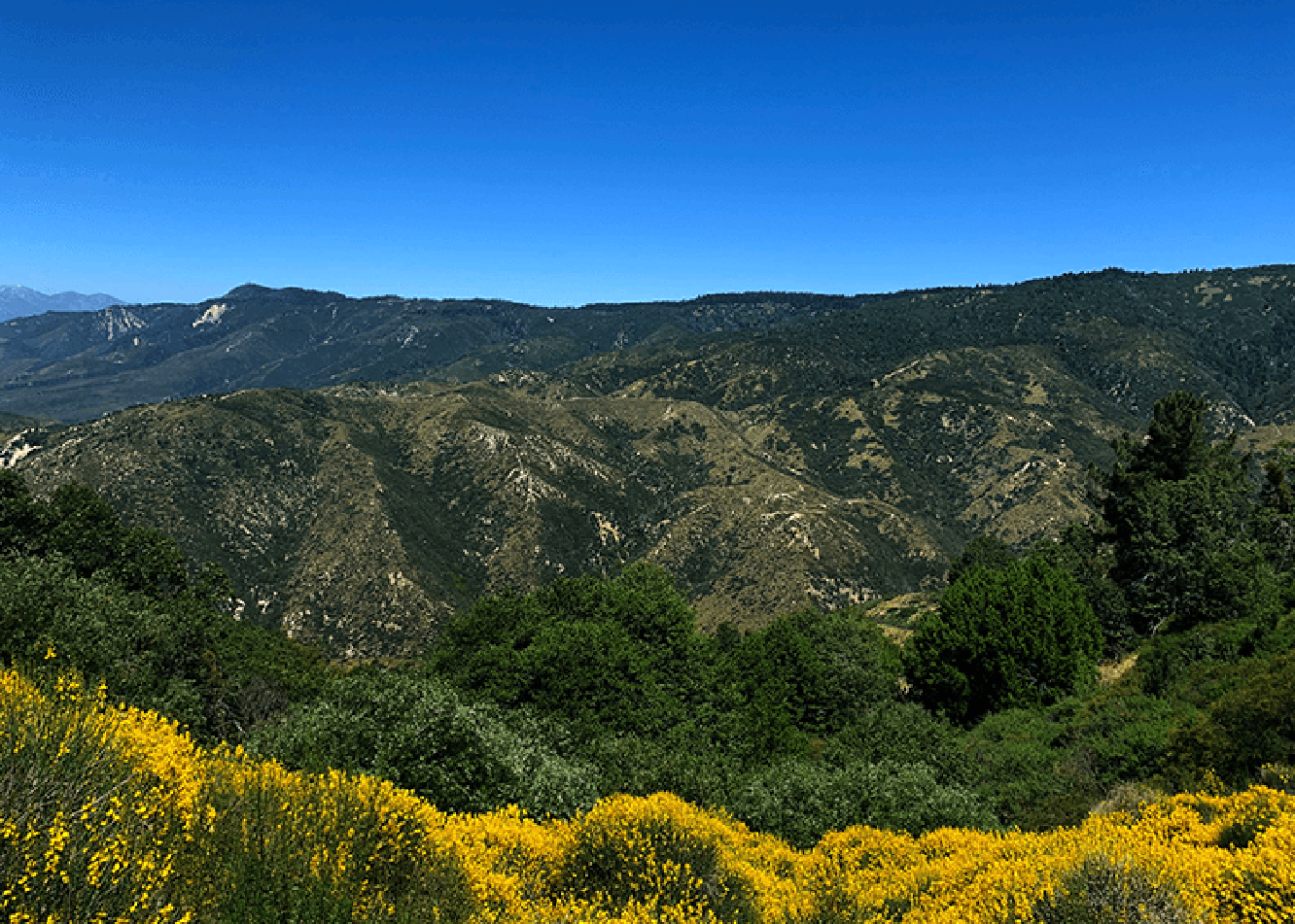 What Area Code Is 909 Get A 909 Phone Number In San Bernardino 