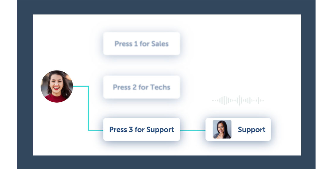 IVR example